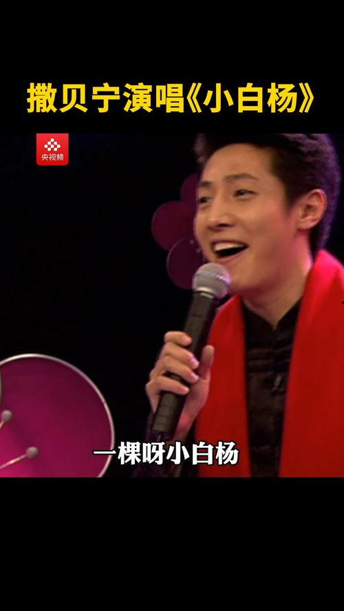 视频小白杨,一棵树的故事，一段历史的见证