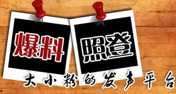 重庆爆料九龙坡新闻最新,最新爆料揭秘！