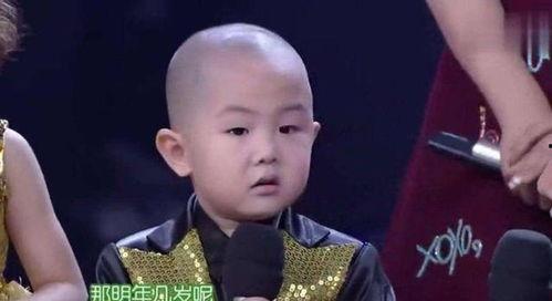 张俊豪所有视频,精彩瞬间回顾与深度解析