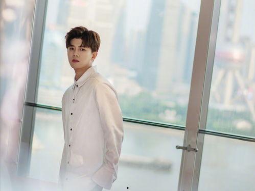 任嘉伦爆料机器人视频,机器人背后的秘密与未来展望