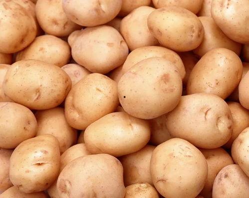 殭土豆在线播放,揭秘网络迷雾中的惊悚悬疑之旅