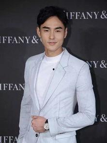 长得像的男明星,揭秘与明星神似的风云男子