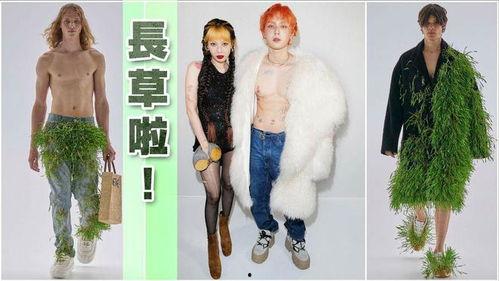 长草的丝袜小人,长草奇缘的奇幻旅程