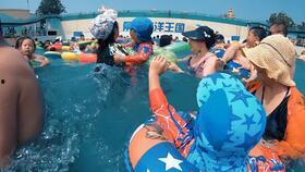 琪琪岛免费观看网