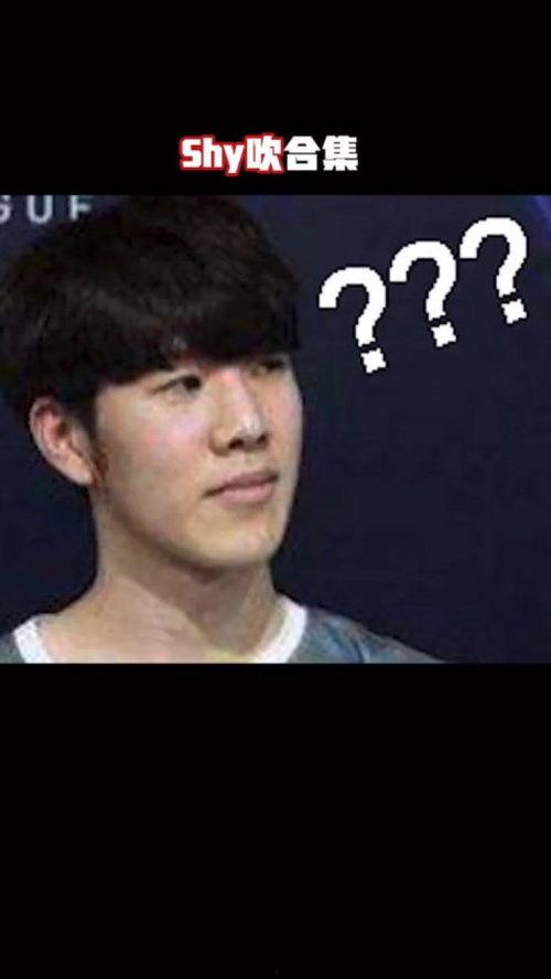 爆料的有趣视频素材,趣味视频素材大盘点